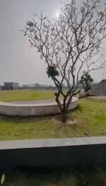 1350 Sq.Ft. Plot in Lightstone La Dimora City