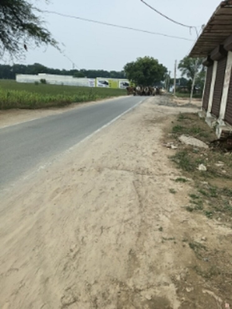  Parking, kair  3050 Sq.Ft. Plot In Kair Delhi 9162159