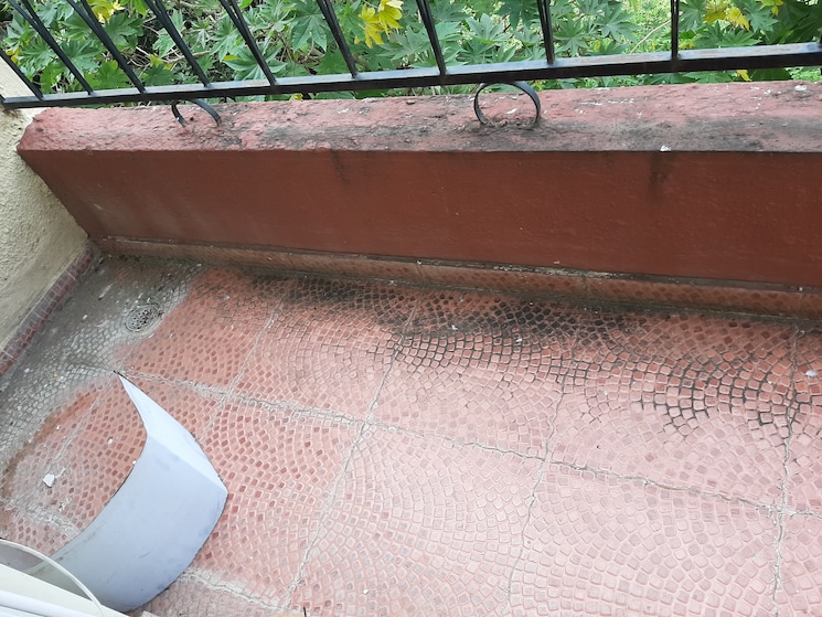 Swimming Pool, akshay-glory-apartment 2 Bedroom 821 Sq.Ft. Apartment In Vadgaon Budruk Pune 9162275