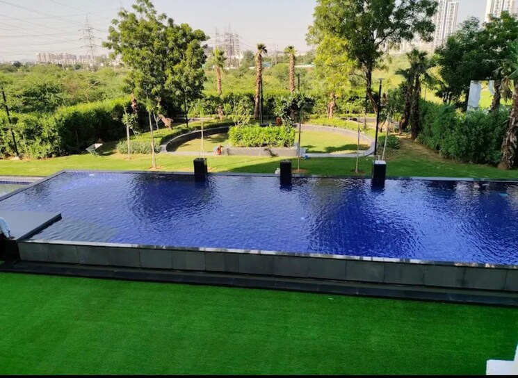Swimming Pool, tulip-purple 4 Bedroom 2400 Sq.Ft. Apartment In Sector 69 Gurgaon 9162289