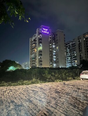 4 BHK Apartment – Exterior View View at Tulip Purple, Sector 69 - for Sale