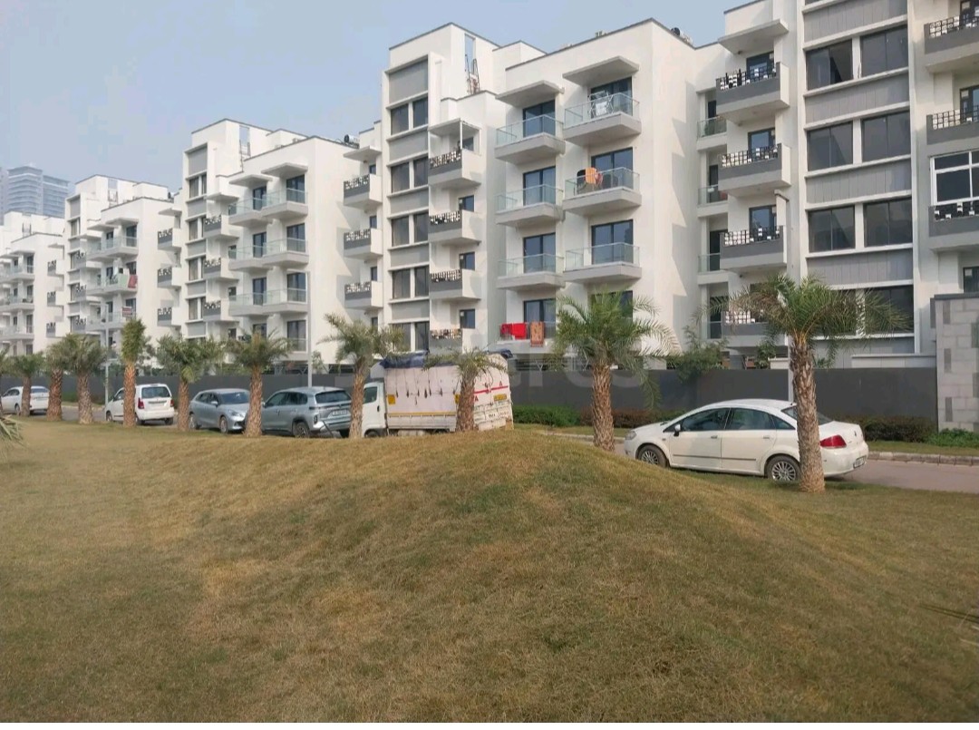 4 BHK 482 Sq.Yd. Builder Floor in Birla Navya