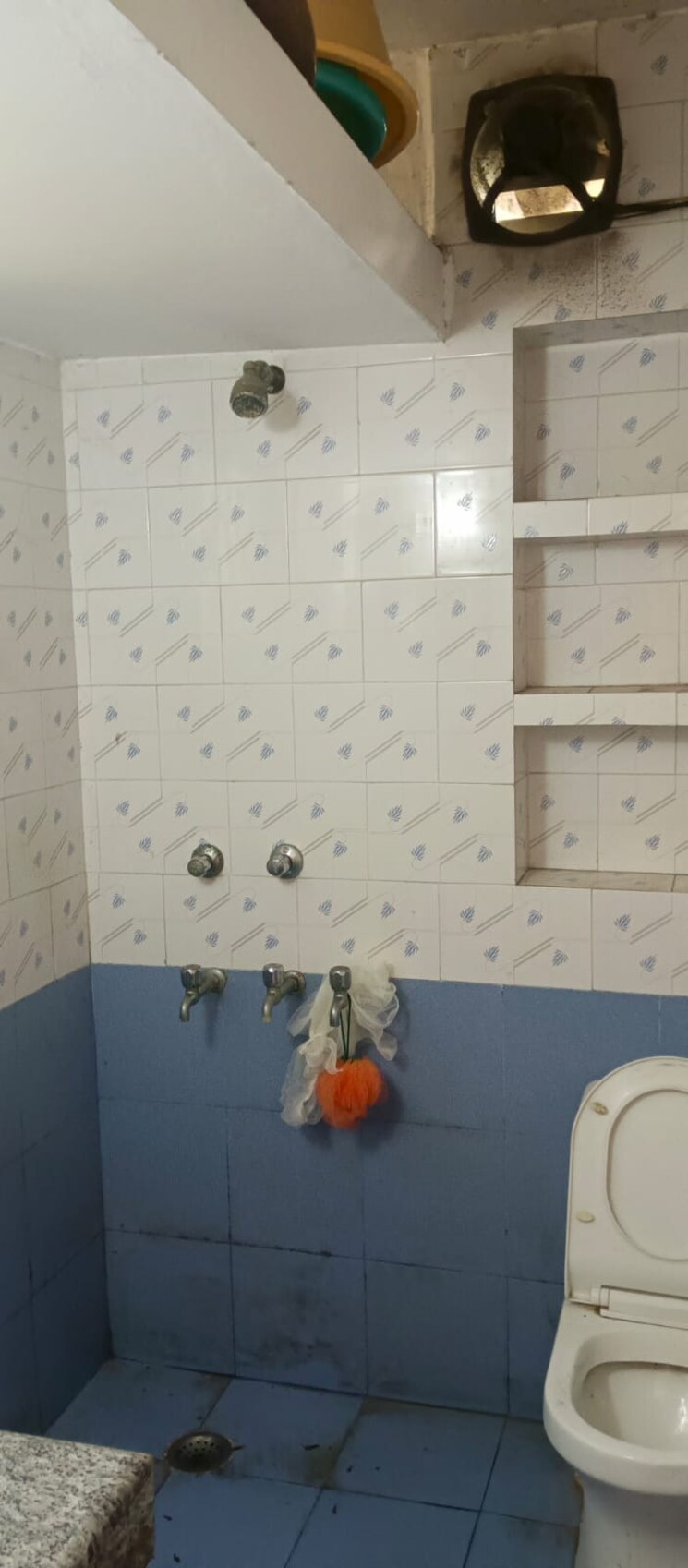Bathroom, vasant enclave 2 Bedroom 1130 Sq.Ft. Builder Floor In Vasant Enclave Delhi 9163041