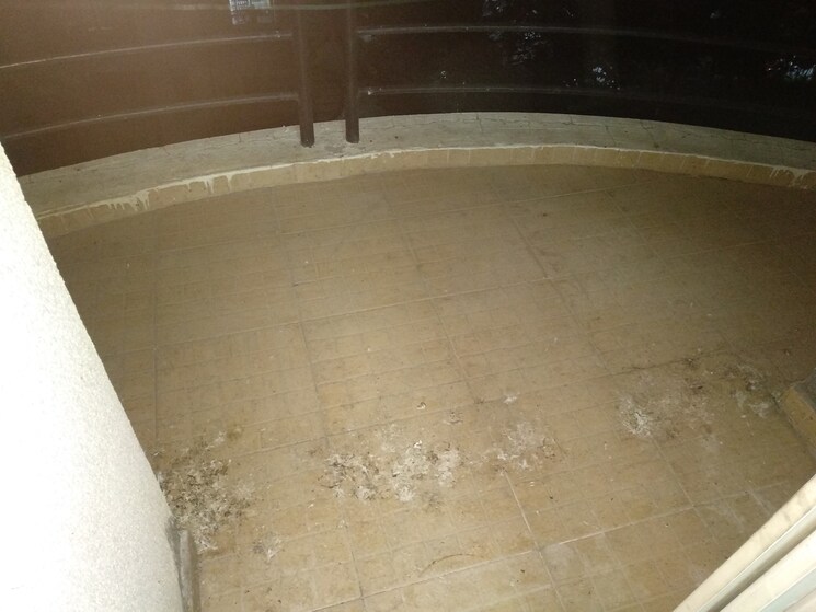 Balcony, high-life 2 Bedroom 1000 Sq.Ft. Apartment In Sinhagad Road Pune 9163076