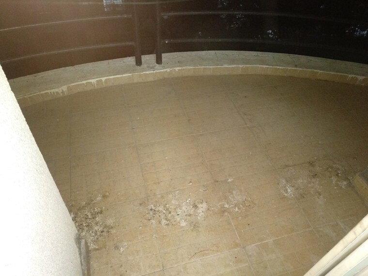 Balcony, high-life 2 Bedroom 1000 Sq.Ft. Apartment In Sinhagad Road Pune 9163076