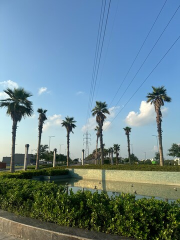  Plot – Garden View at Tdi City - for Sale
