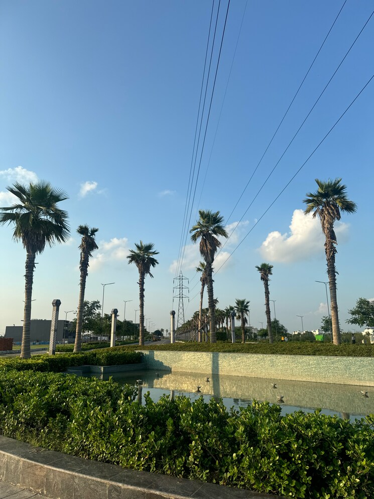 Garden, tdi city  350 Sq.Yd. Plot In Tdi City Panipat 9163173