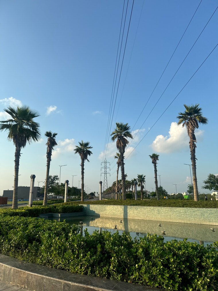 Garden, tdi city  350 Sq.Yd. Plot In Tdi City Panipat 9163173