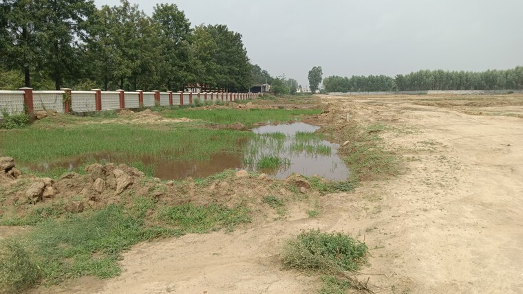 undefined, lalru  125 Sq.Yd. Plot In Lalru Mohali 9163419
