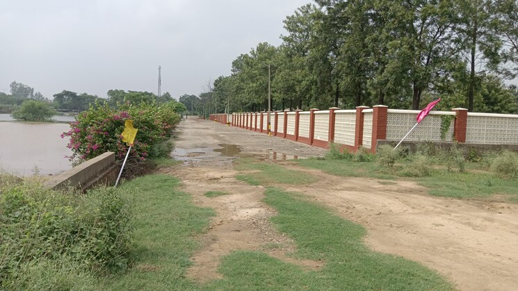 Garden, lalru  125 Sq.Yd. Plot In Lalru Mohali 9163419