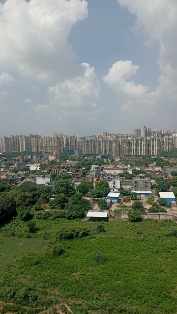 Plot Area in 2 BHK Apartment at Amrapali Golf Homes, Sector 4 Greater Noida – for Rent