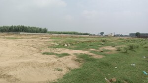  Plot For Sale in Lalru