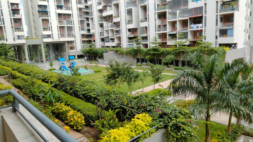 1 BHK Apartment For Rent in Rohan Abhilasha 2