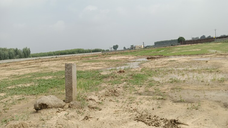 undefined, lalru  100 Sq.Yd. Plot In Lalru Mohali 9163656
