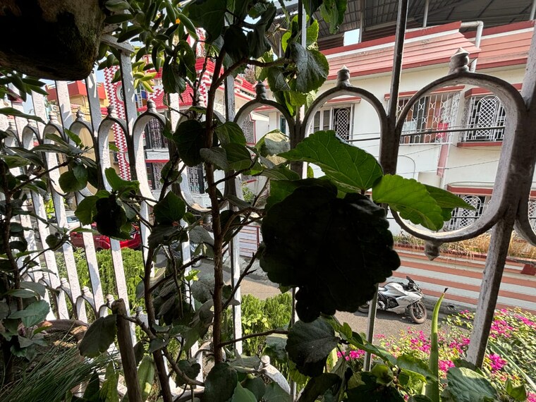 Garden, parnasree pally 5 Bedroom 2880 Sq.Ft. Independent House In Parnasree Pally Kolkata 9163791