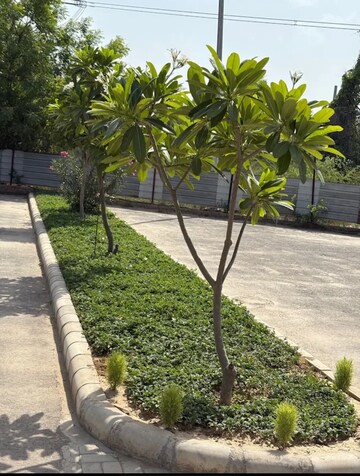  Plot – Garden View at Satya Merano Greens, Sector 99a - for Sale