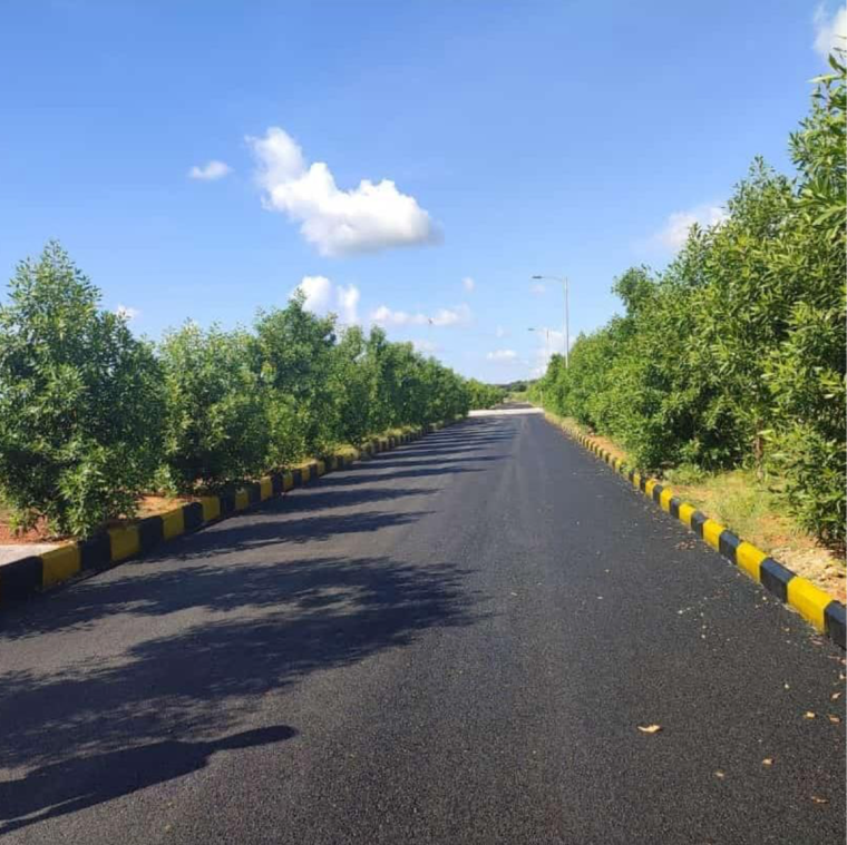 Garden, jb-nature-valley  220 Sq.Yd. Plot In Kothulapuram Hyderabad 9163896
