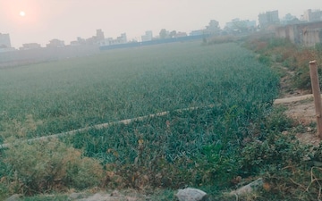 Land For Sale in Gaurichak