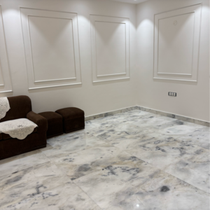 Living Room in 3 BHK Apartment at Lajpat Nagar – for Rent