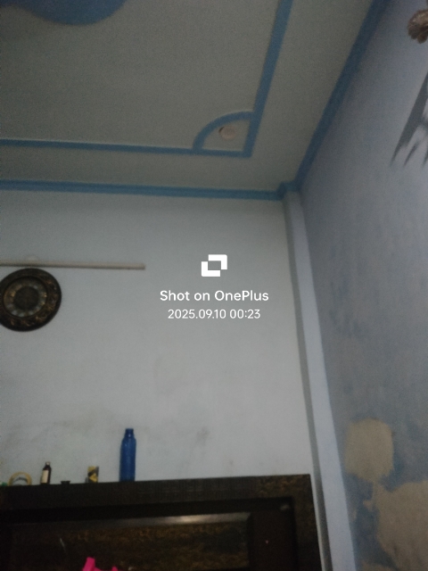 1 BHK Apartment For Rent in Signature Global Grand Iva