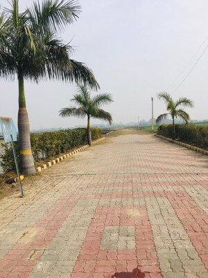 Plot Area in  Plot at Ramnagar – for Sale