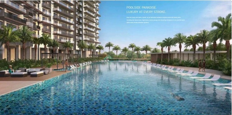 Swimming Pool, signature-global-de-luxe-dxp 3 Bedroom 2623 Sq.Ft. Apartment In Sector 37d Gurgaon 9164522
