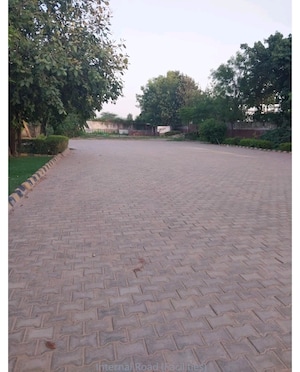 Plot Area in 3 BHK Apartment at Vipul Lavanya, Sector 81 – for Sale