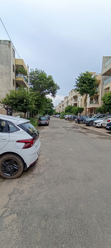 Parking in 3 BHK Builder Floor at Ansal API Esencia, Sector 67 – for Rent