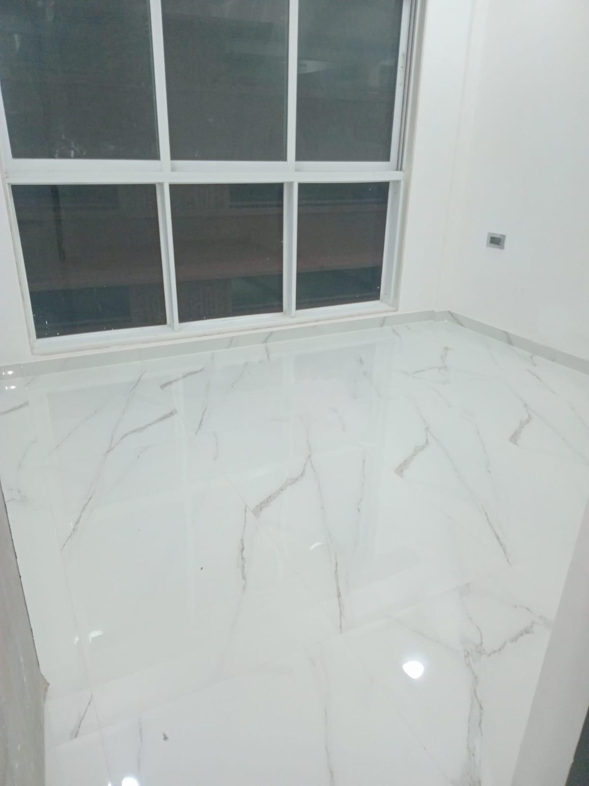 1 BHK Apartment For Rent in Nahar Amaryllis Towers and Plaza