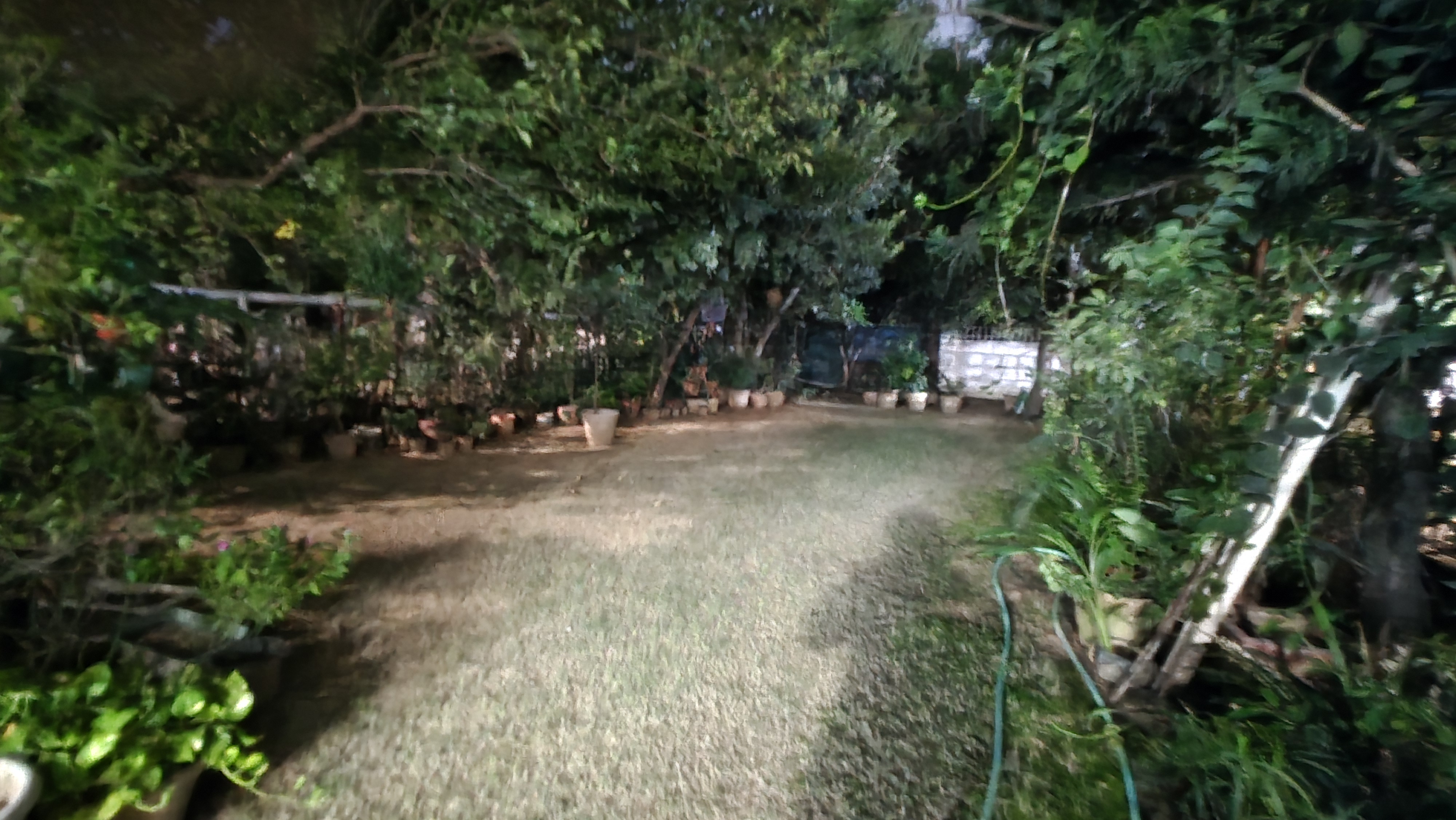 5 BHK 597 Sq.Yd. Villa in The Legend One