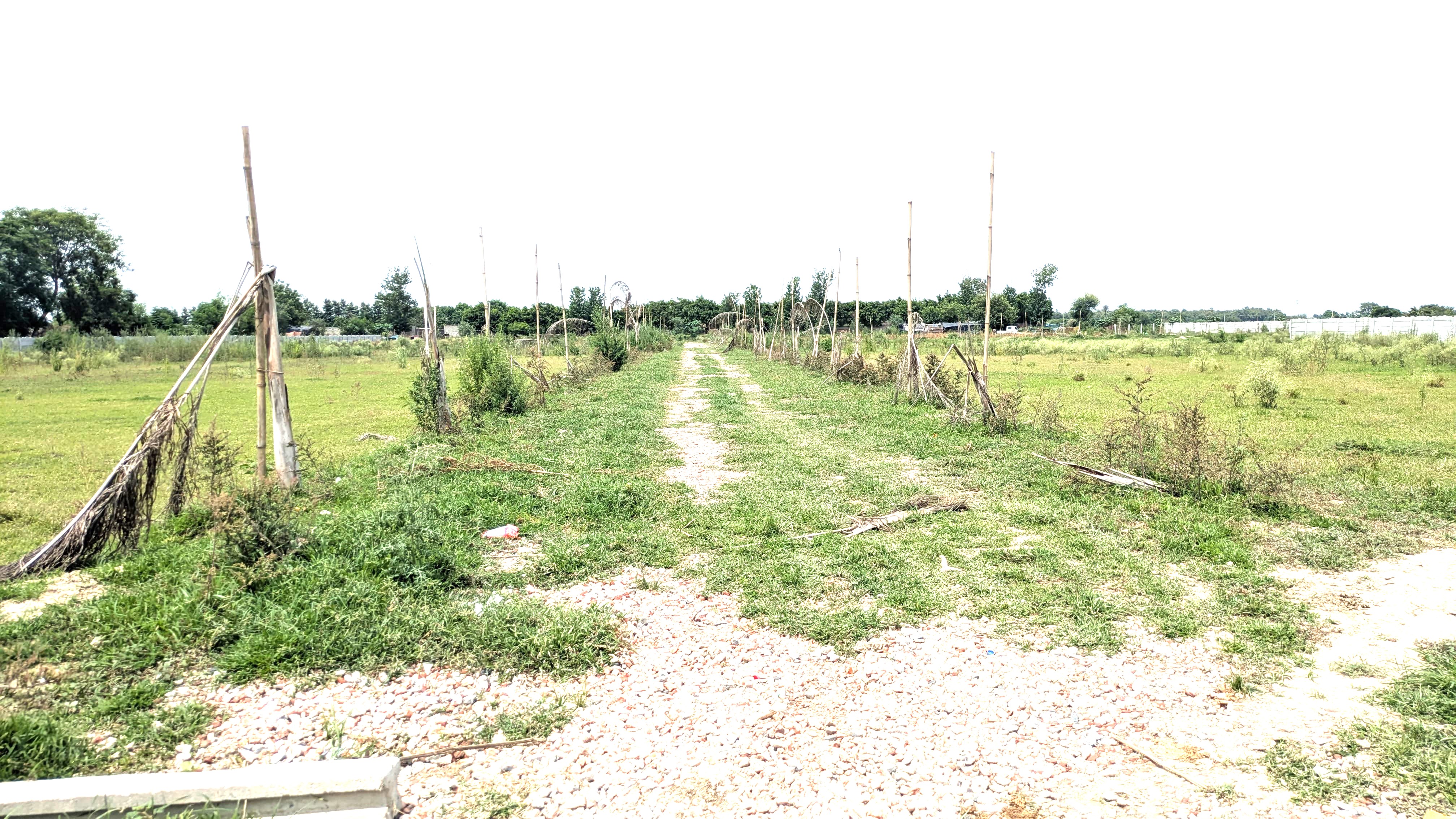 Plot For Sale in Shree Nayak Vatika