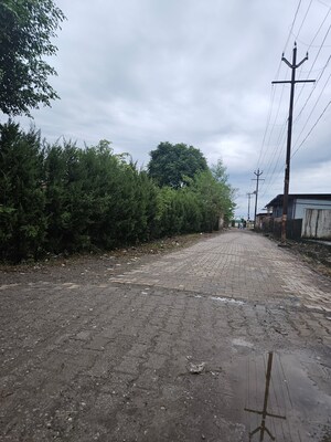  Plot For Sale in Bahmanwala