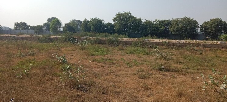 undefined, amolik-aster-woods  981 Sq.Ft. Plot In Sector 98 Faridabad 9165000