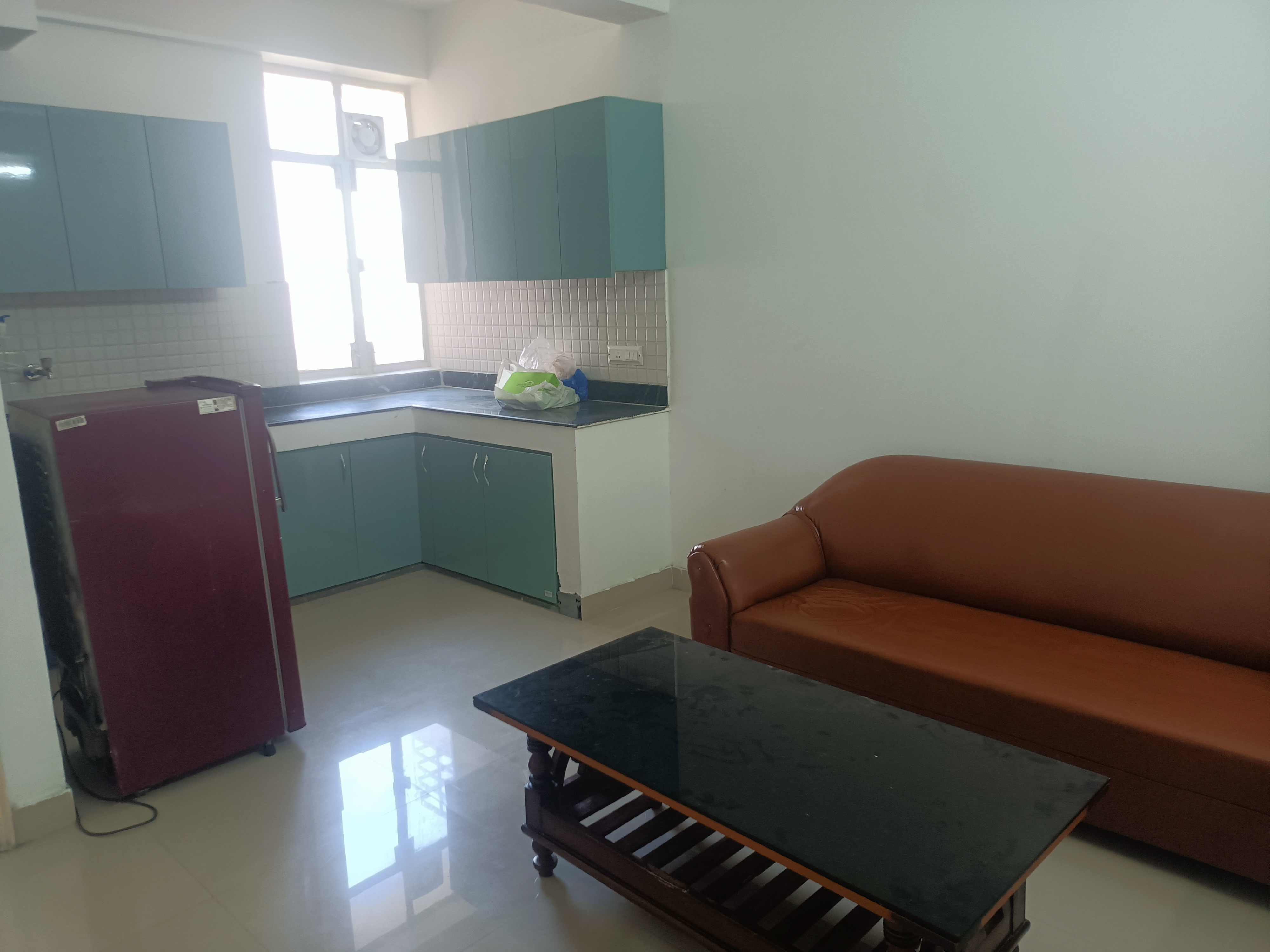 1 BHK Apartment For Rent in Breez Global Heights
