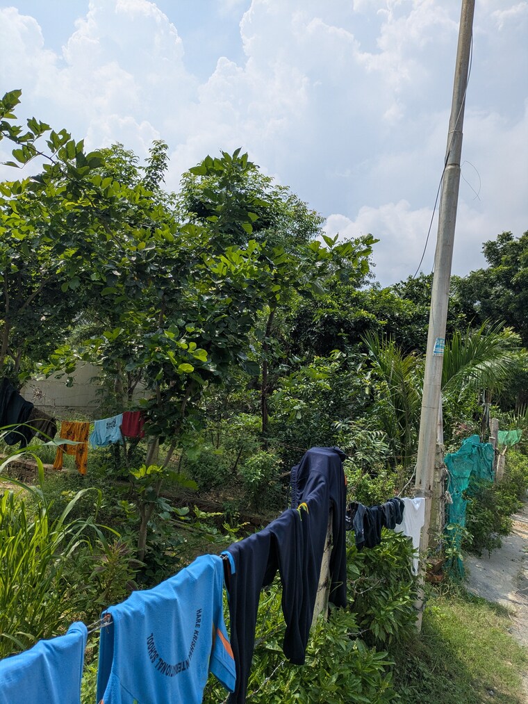 Exterior View, sector 2 greater noida  162 Sq.Yd. Plot In Sector 2 Greater Noida Greater Noida 9165324