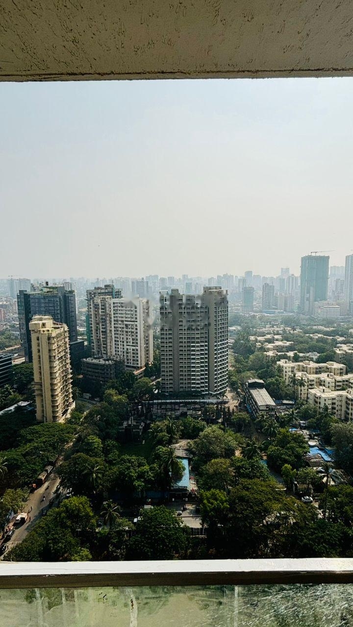 1 BHK Apartment For Rent in Dimple 19 North