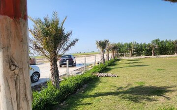 Industrial Plot For Sale in Sector 44