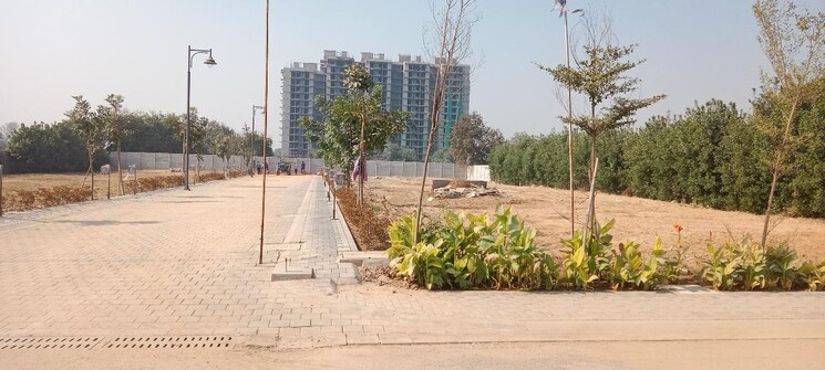 Balcony, sector 86  165 Sq.Ft. Plot In Sector 86 Faridabad 9165464