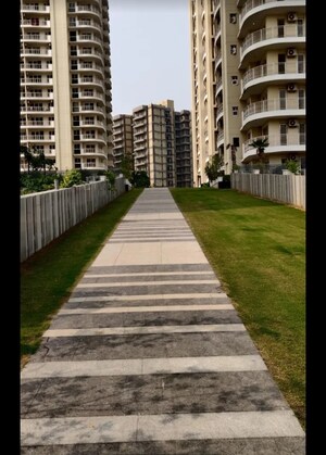 4 BHK Apartment – Exterior View View at BPTP Terra, Sector 37d - for Sale