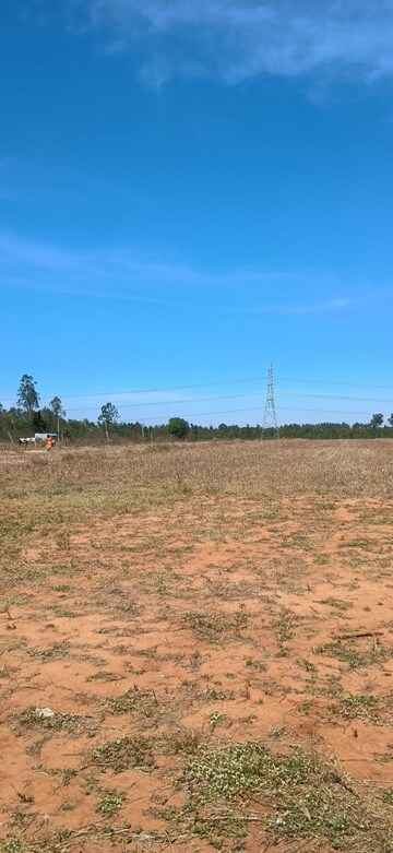 Plot Area in  Land at Rajanukunte – for Sale