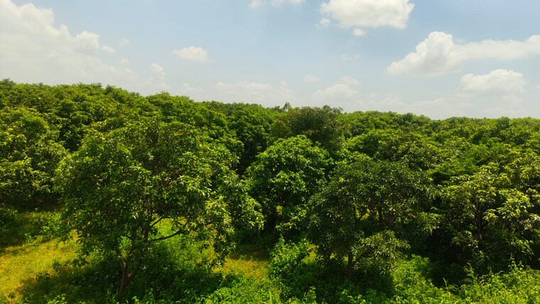 Garden, maheshwaram Commercial Land 9 Acre In Maheshwaram Hyderabad 9166044