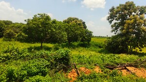  Land – Garden View at Maheshwaram - for Sale