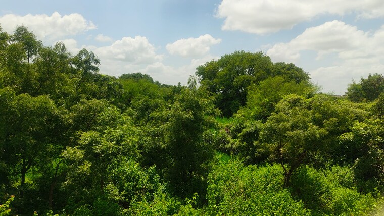 Garden, maheshwaram Commercial Land 9 Acre In Maheshwaram Hyderabad 9166044