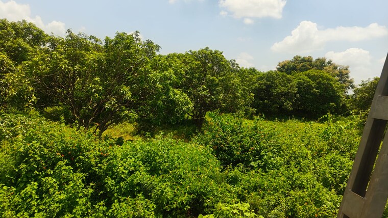 Garden, maheshwaram Commercial Land 9 Acre In Maheshwaram Hyderabad 9166044