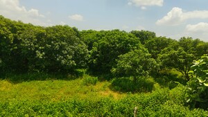  Land – Garden View at Maheshwaram - for Sale