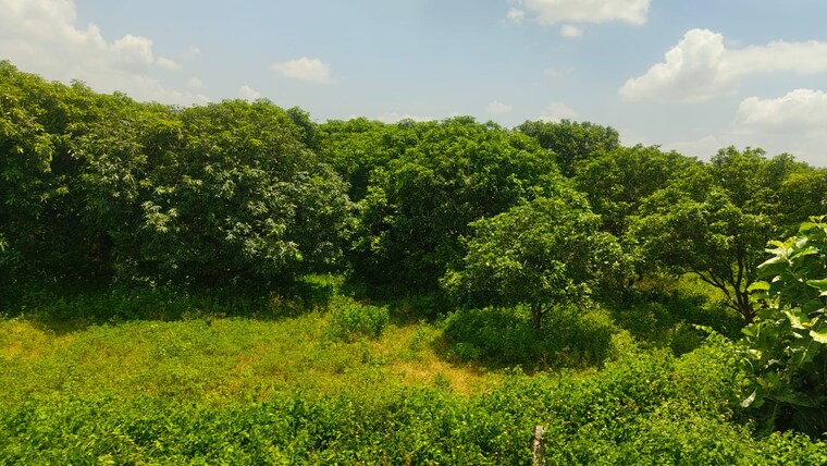 Garden, maheshwaram Commercial Land 9 Acre In Maheshwaram Hyderabad 9166044