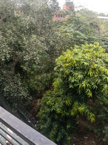 1 BHK Builder Floor – Garden View at Malviya Nagar - for Rent