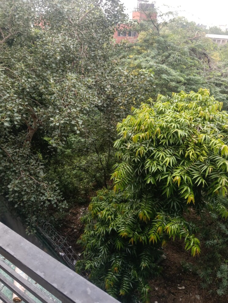 Garden, malviya nagar 1 Bedroom 1200 Sq.Ft. Builder Floor In Malviya Nagar Delhi 9166064