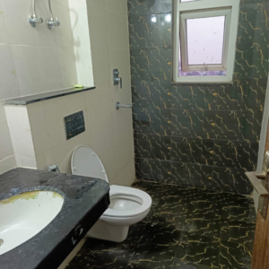 Bathroom in 2 BHK Apartment at BPTP Discovery Park, Badauli Village – for Sale