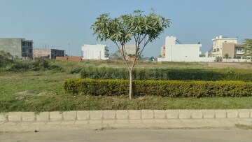 Plot Area in  Plot at Mullanpur – for Sale